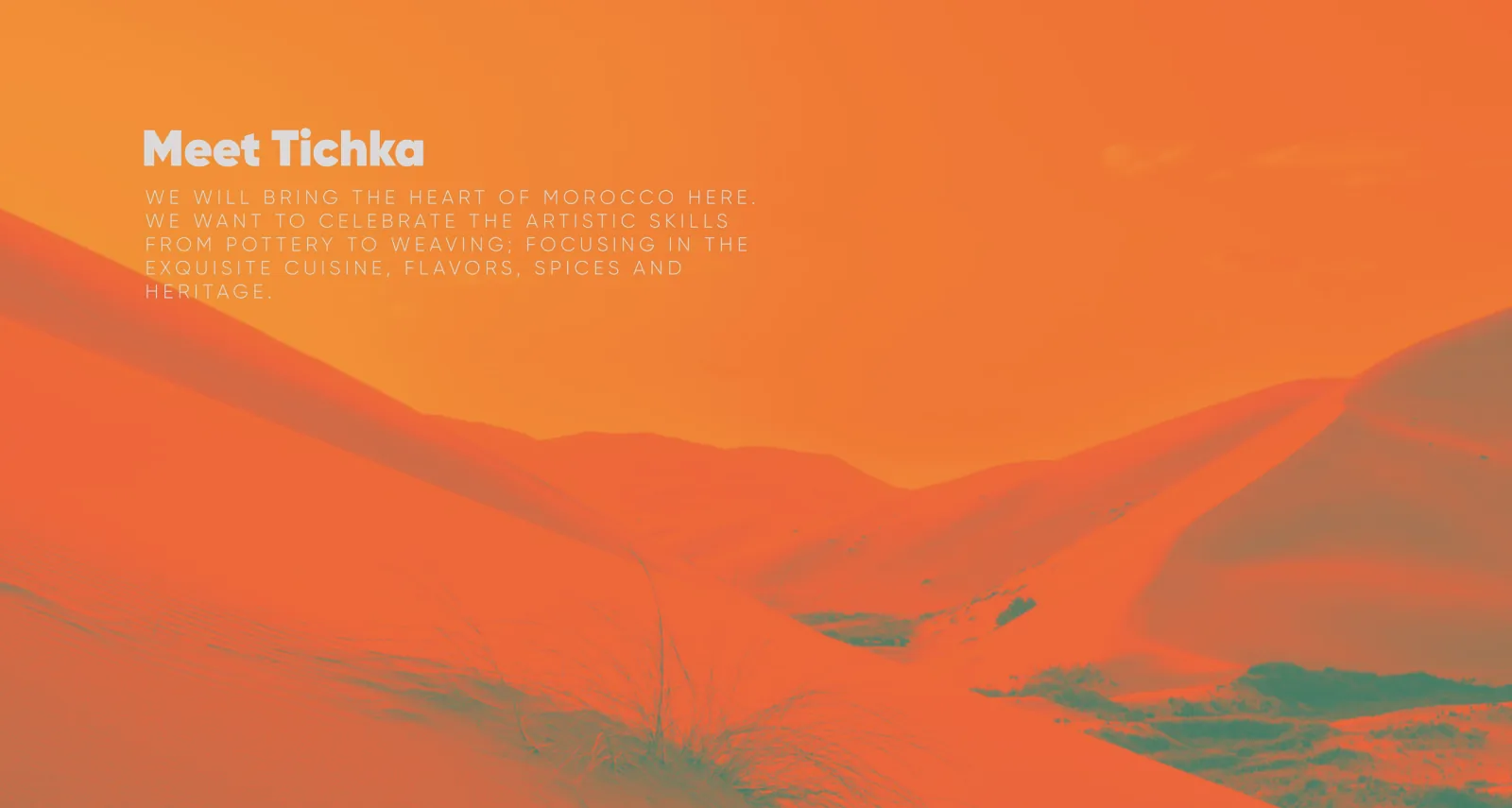Tichka — Brand Identity — project image 1